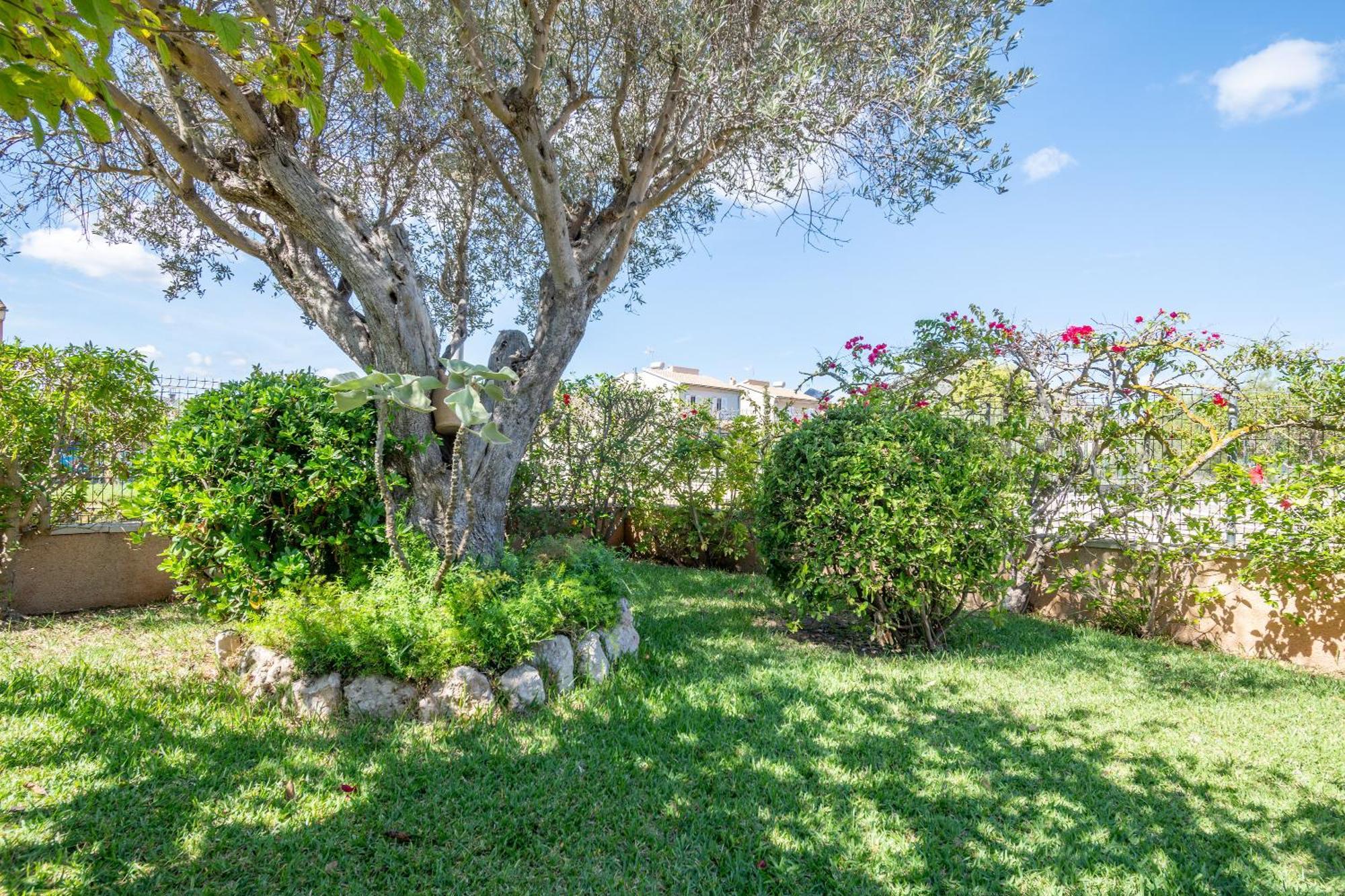 Que Bo Villa Alcudia  Dış mekan fotoğraf